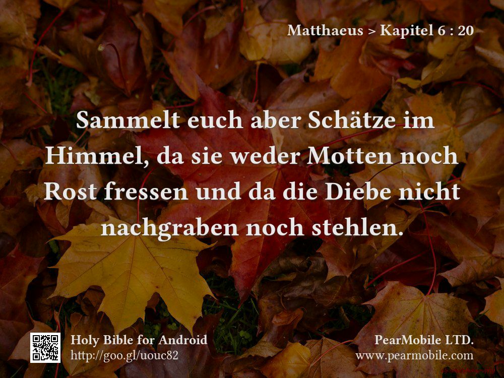 Matthaeus, Kapitel 6:20
